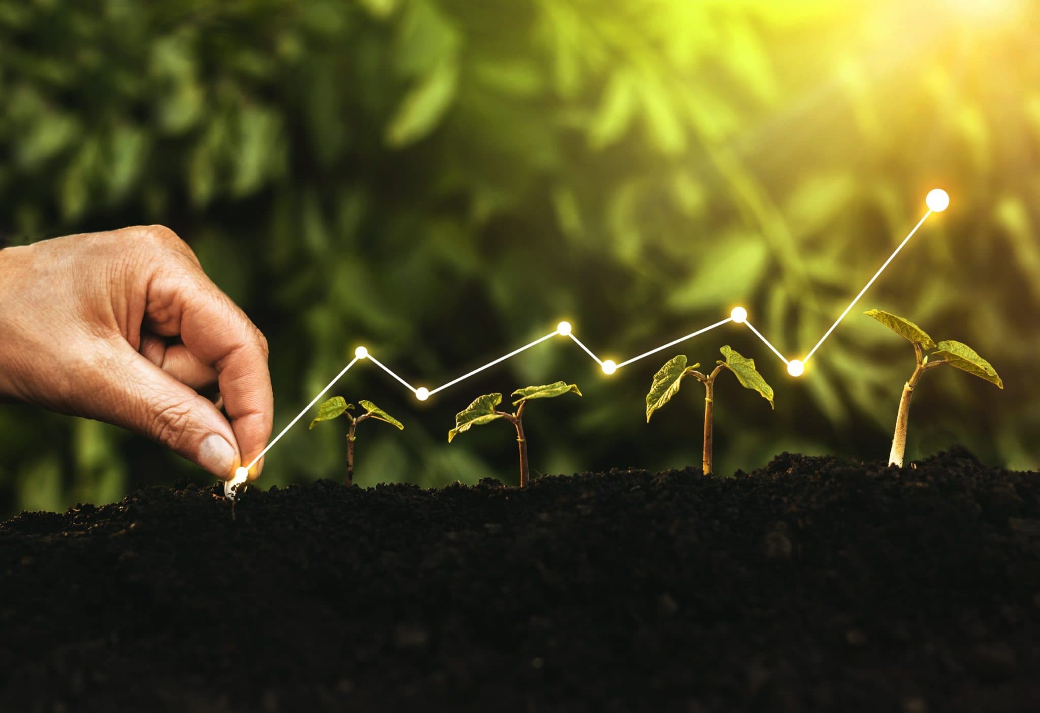 Building a Sustainable Future: Exploring Sustainable Investment Strategies